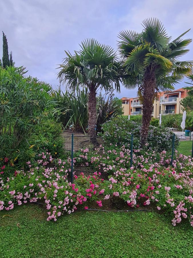 Appartamento Con Vista A Cavallino Venezia מראה חיצוני תמונה