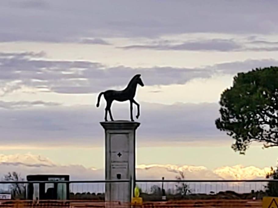 Appartamento Con Vista A Cavallino Venezia מראה חיצוני תמונה